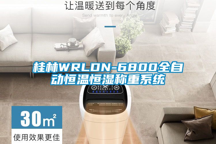 桂林WRLDN-6800全自動恒溫恒濕稱重系統