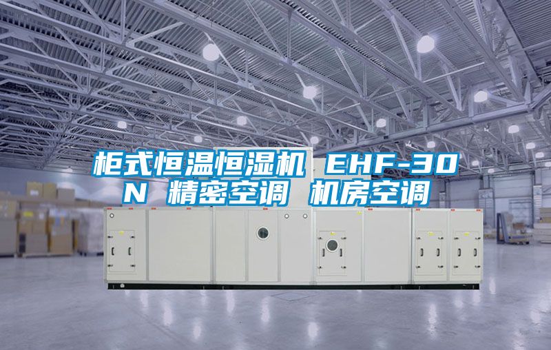 柜式恒溫恒濕機 EHF-30N 精密空調 機房空調