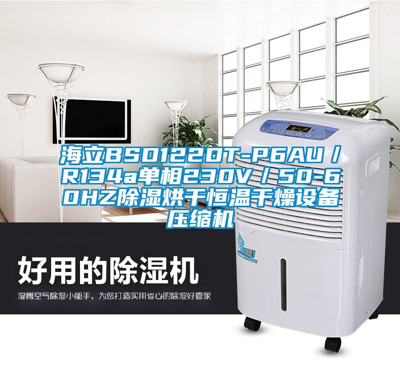 海立BSD122DT-P6AU／R134a單相230V／50-60HZ除濕烘干恒溫干燥設備壓縮機