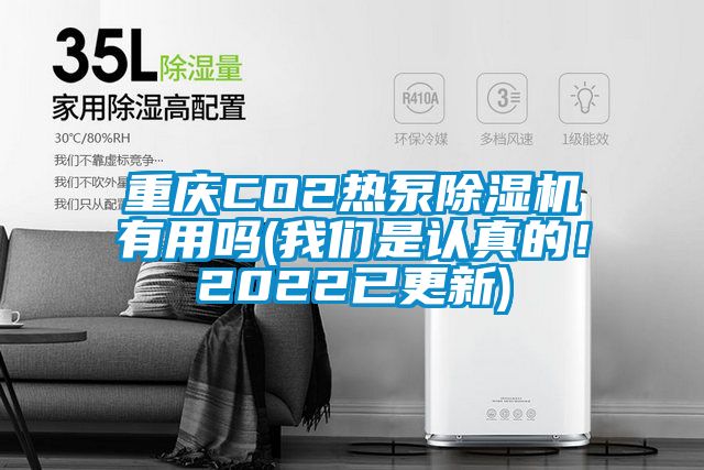 重慶CO2熱泵除濕機有用嗎(我們是認真的！2022已更新)