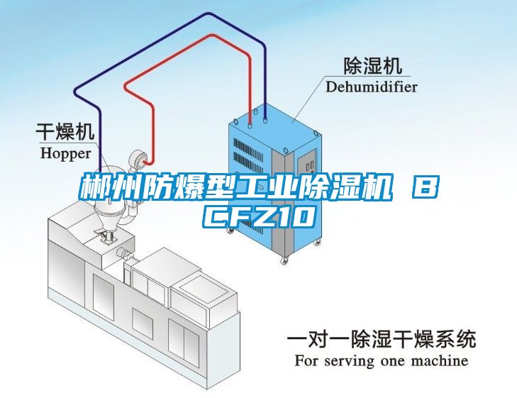 郴州防爆型工業(yè)除濕機(jī) BCFZ10