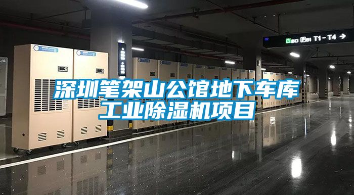 深圳筆架山公館地下車庫工業(yè)除濕機(jī)項目