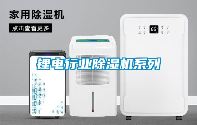 鋰電行業除濕機系列