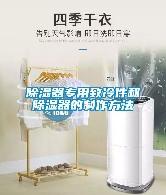 除濕器專用致冷件和除濕器的制作方法