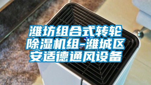 濰坊組合式轉輪除濕機組-濰城區安適德通風設備