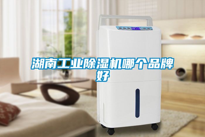 湖南工業除濕機哪個品牌好