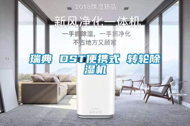 瑞典 DST便攜式 轉輪除濕機