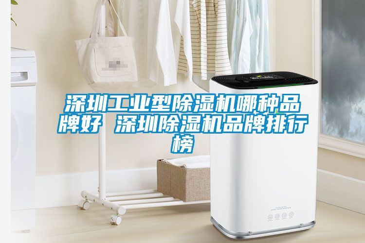 深圳工業(yè)型除濕機哪種品牌好 深圳除濕機品牌排行榜