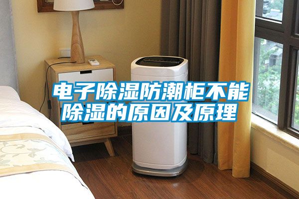 電子除濕防潮柜不能除濕的原因及原理