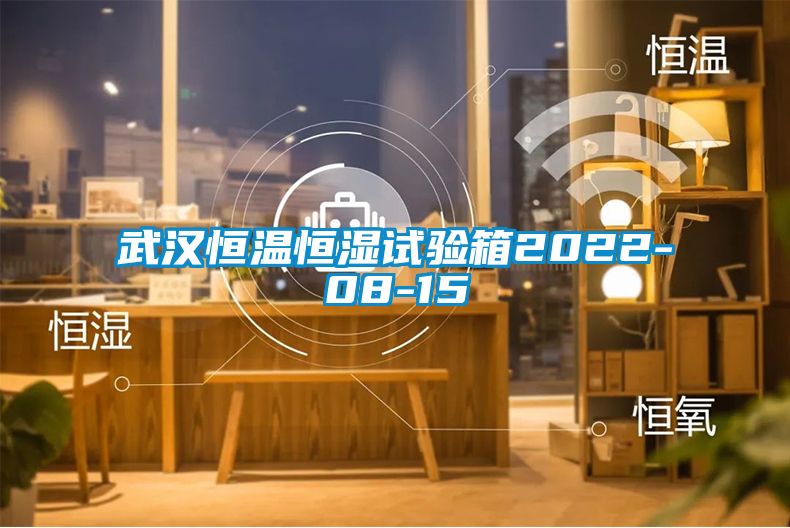 武漢恒溫恒濕試驗(yàn)箱2022-08-15