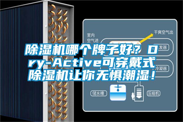 除濕機哪個牌子好？Dry-Active可穿戴式除濕機讓你無懼潮濕！