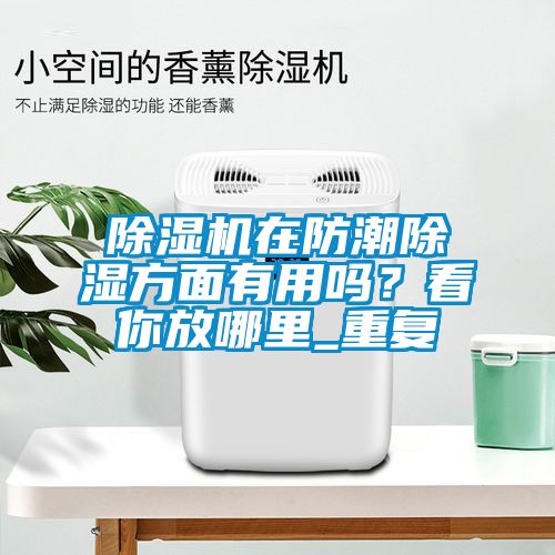 除濕機(jī)在防潮除濕方面有用嗎？看你放哪里_重復(fù)