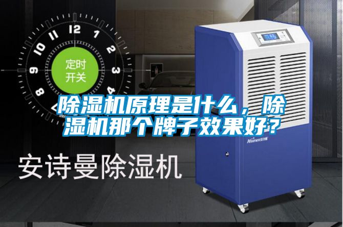 除濕機原理是什么，除濕機那個牌子效果好？