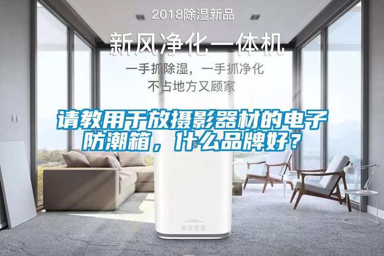 請(qǐng)教用于放攝影器材的電子防潮箱，什么品牌好？