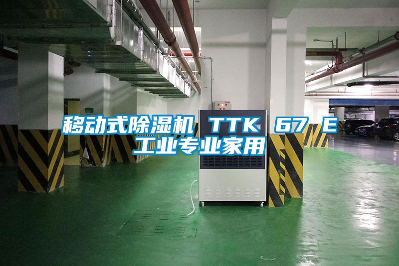 移動式除濕機 TTK 67 E工業專業家用