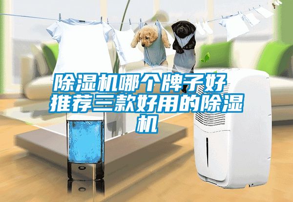 除濕機哪個牌子好 推薦三款好用的除濕機