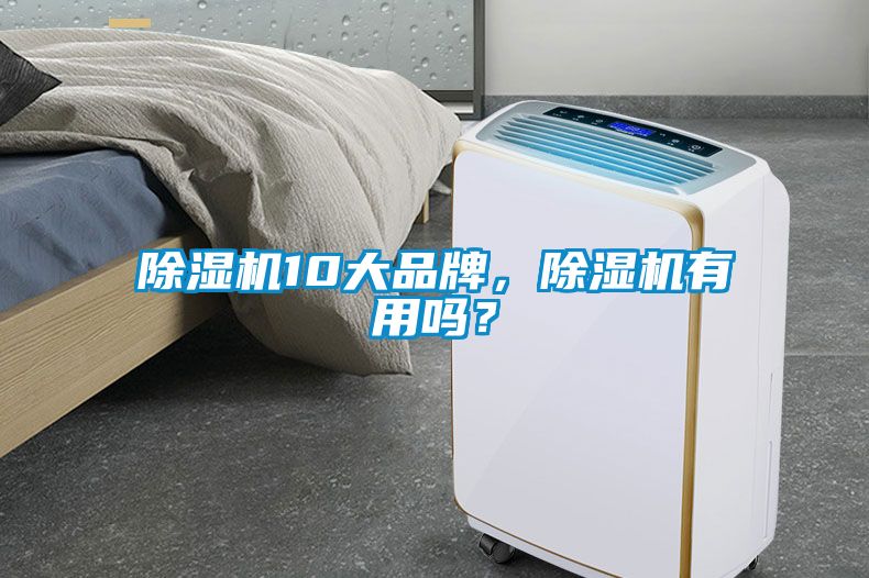 除濕機10大品牌，除濕機有用嗎？