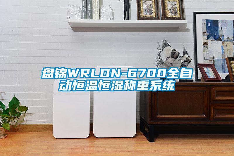 盤錦WRLDN-6700全自動恒溫恒濕稱重系統