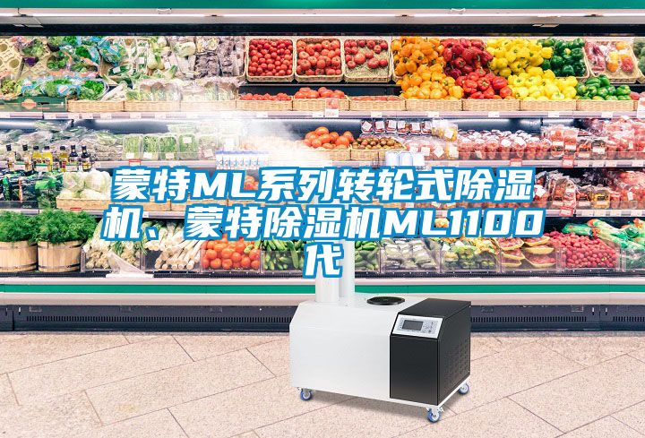 蒙特ML系列轉(zhuǎn)輪式除濕機(jī)、蒙特除濕機(jī)ML1100代