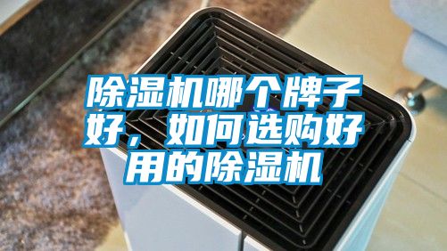 除濕機哪個牌子好，如何選購好用的除濕機