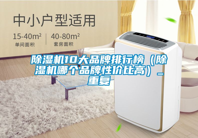 除濕機10大品牌排行榜（除濕機哪個品牌性價比高）_重復