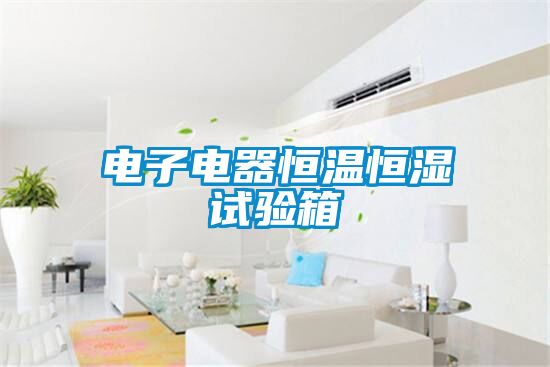 電子電器恒溫恒濕試驗箱