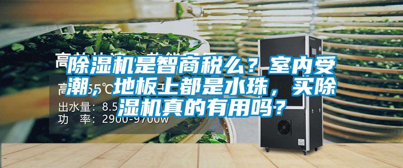 除濕機是智商稅么？室內受潮，地板上都是水珠，買除濕機真的有用嗎？