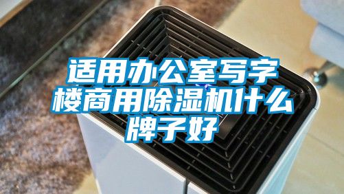 適用辦公室寫字樓商用除濕機什么牌子好