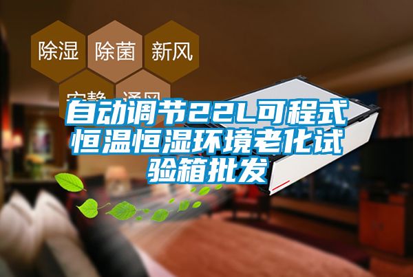 自動調節22L可程式恒溫恒濕環境老化試驗箱批發