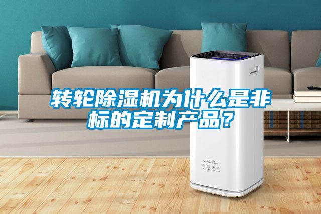 轉輪除濕機為什么是非標的定制產品？