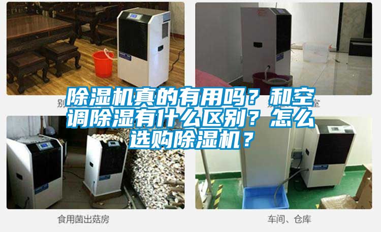 除濕機真的有用嗎？和空調除濕有什么區別？怎么選購除濕機？