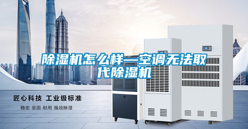 除濕機怎么樣—空調無法取代除濕機