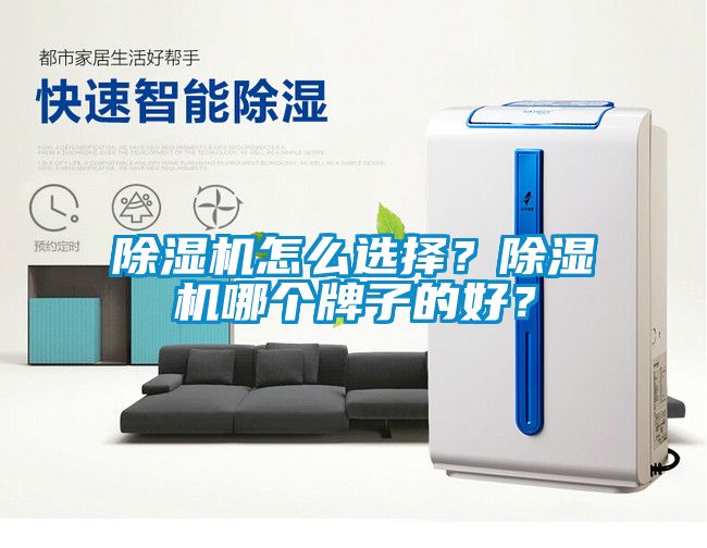 除濕機怎么選擇？除濕機哪個牌子的好？