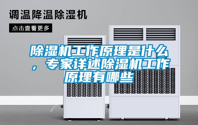 除濕機工作原理是什么，專家詳述除濕機工作原理有哪些