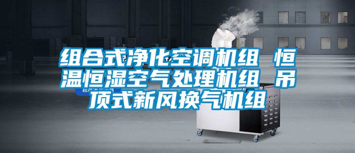 組合式凈化空調機組 恒溫恒濕空氣處理機組 吊頂式新風換氣機組