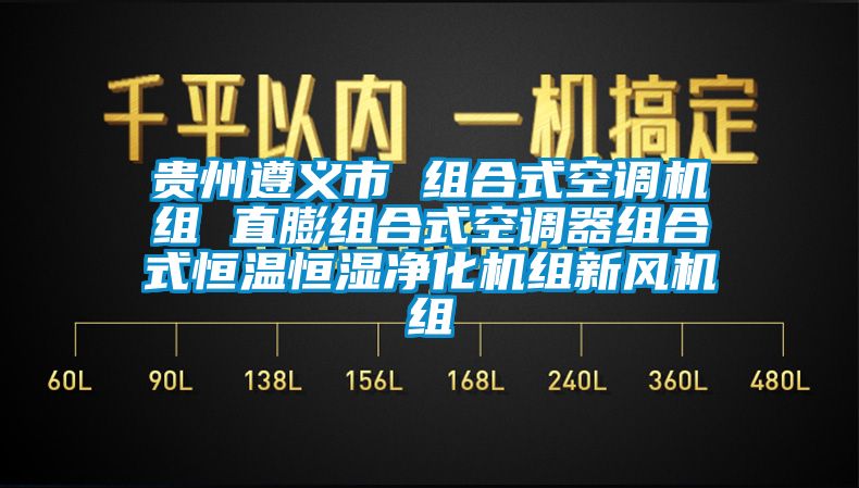 貴州遵義市 組合式空調機組 直膨組合式空調器組合式恒溫恒濕凈化機組新風機組