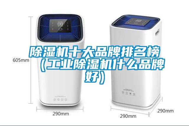 除濕機十大品牌排名榜（工業除濕機什么品牌好）