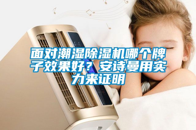 面對潮濕除濕機哪個牌子效果好？安詩曼用實力來證明