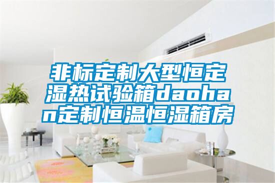 非標定制大型恒定濕熱試驗箱daohan定制恒溫恒濕箱房