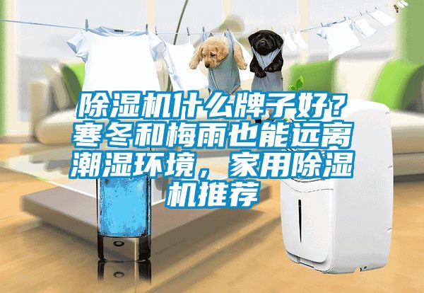 除濕機什么牌子好？寒冬和梅雨也能遠離潮濕環境，家用除濕機推薦