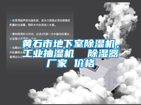 黃石市地下室除濕機，工業抽濕機  除濕器廠家 價格