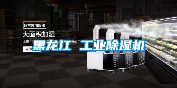 黑龍江 工業除濕機